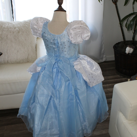CINDERELLA COSTUME - Picture 9 of 14